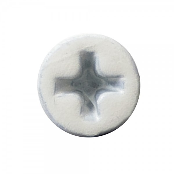 軽天タッピング ラッパ カラー