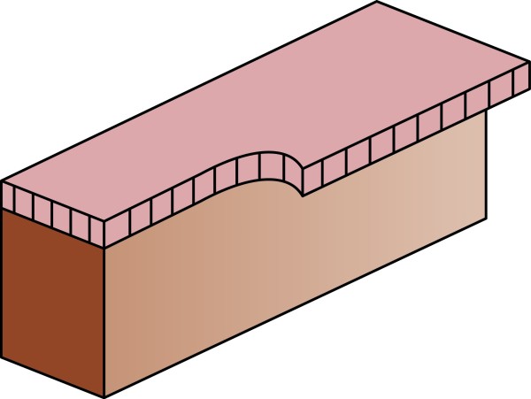 カサ付目地払い（コロ付）