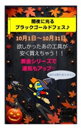 フジ矢 黒金シリーズ大特価!